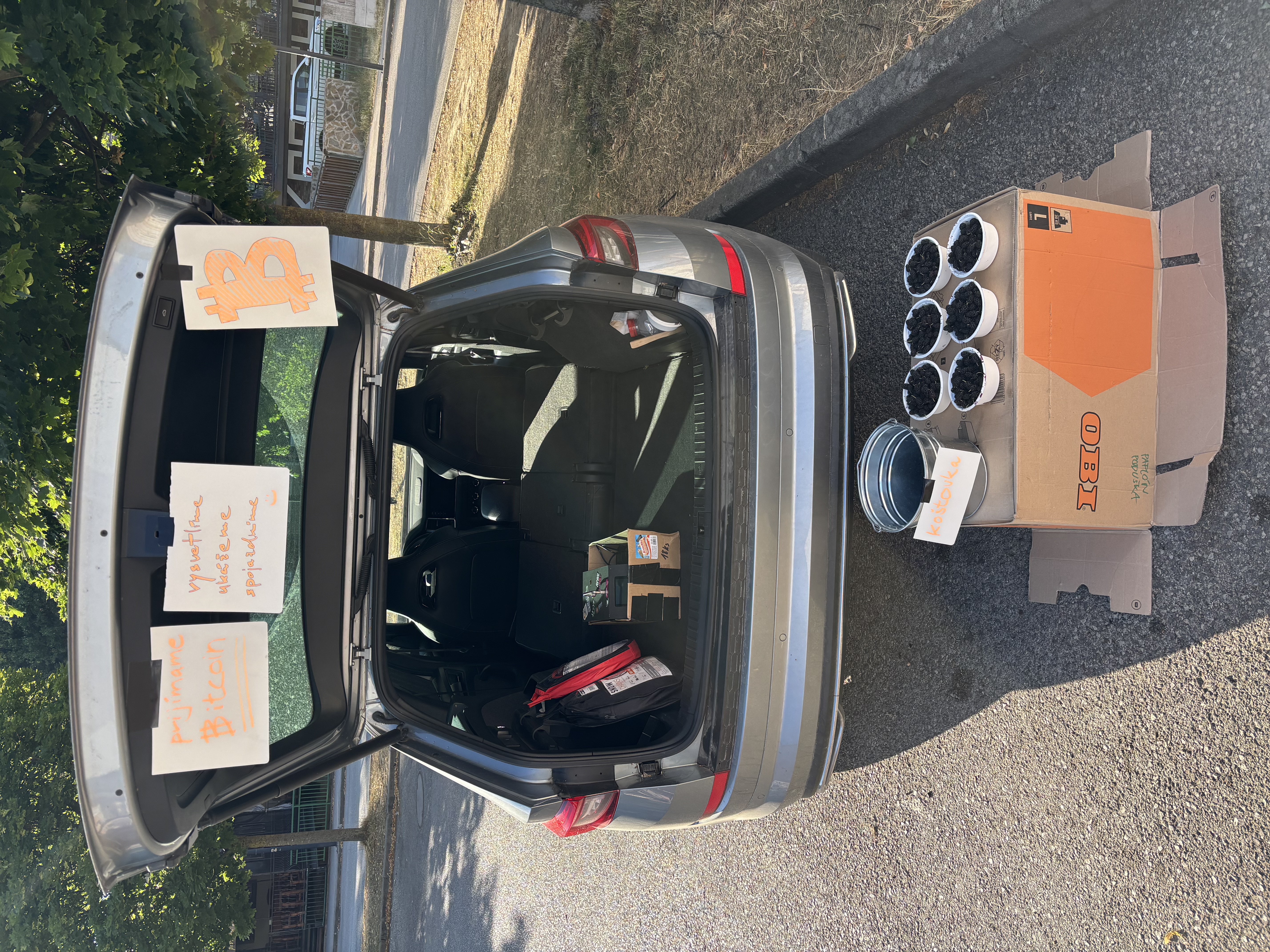 Selling homegrown mullberries for sats :-)